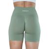 AUROLA Intensify Workout Shorts for Women Seamless Scrunch Short Gym Yoga Running Sport Active Exercise Fitness Shorts(Iceberg Green)