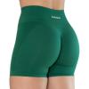 AUROLA Intensify V2.0 Women’s Workout Shorts Athletic Running Shorts, Seamless High Waist Gym Yoga Shorts(Alpine Green)